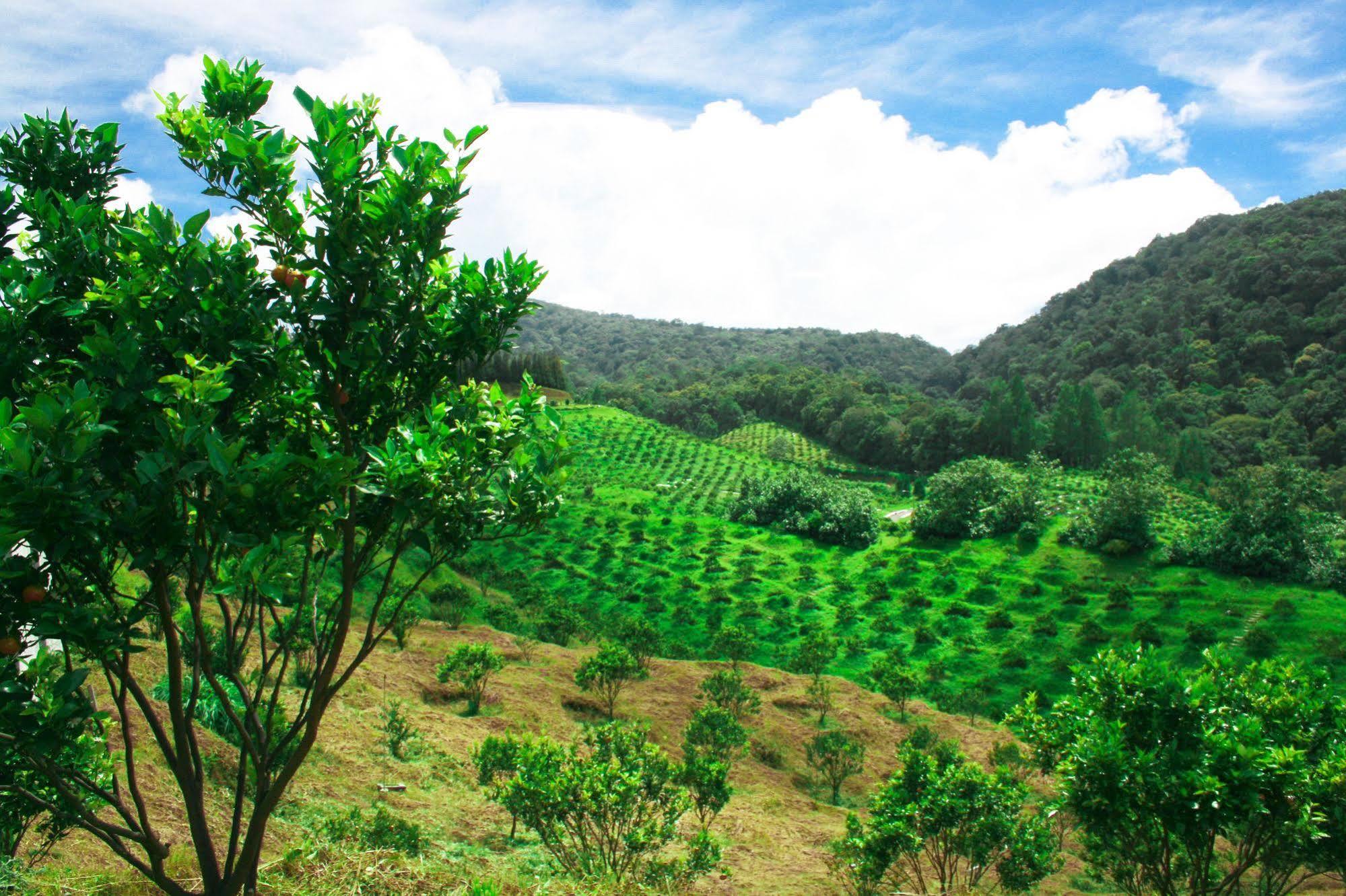 Taman Simalem Resort Tongging Esterno foto